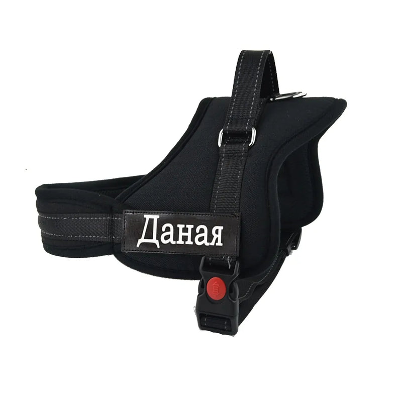 Harness For Dogs