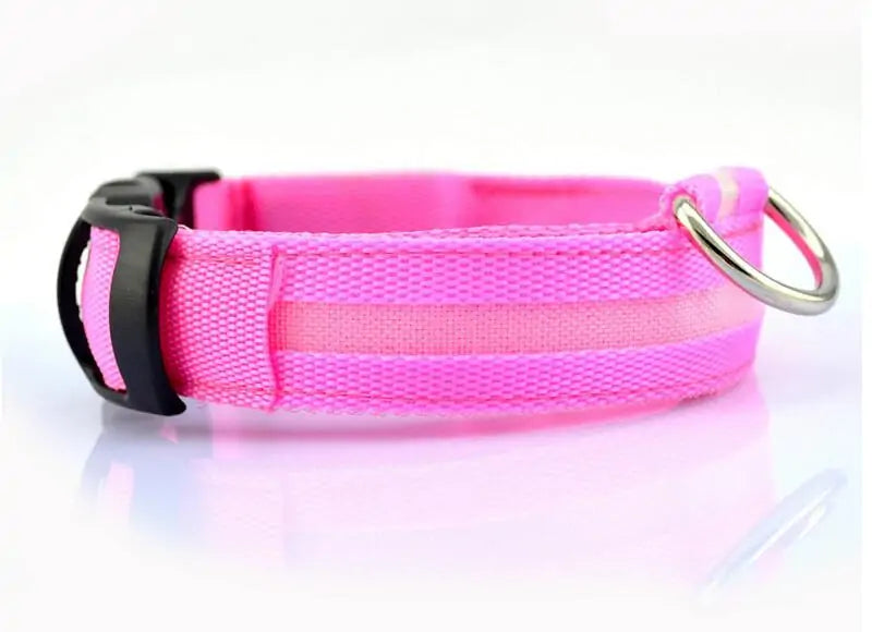 LED Pet Dog Collar for Night Safety, Nylon Leash with Glow-in-the-Dark Feature